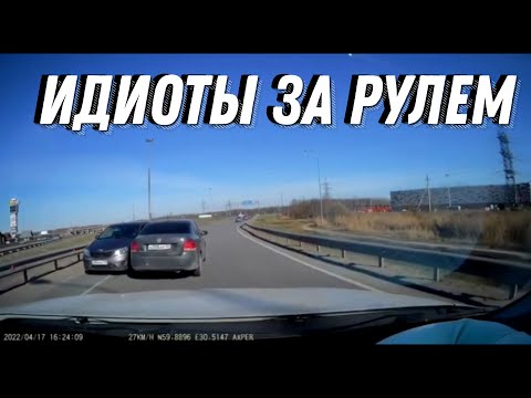 Идиоты на машине