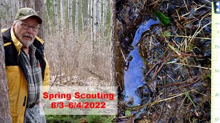 Spring Scouting 2022 (Deer Hunting) by Ken Nordberg 2,043 views 1 year ago 33 minutes