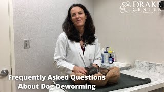 Frequently Asked Questions About Dog Deworming