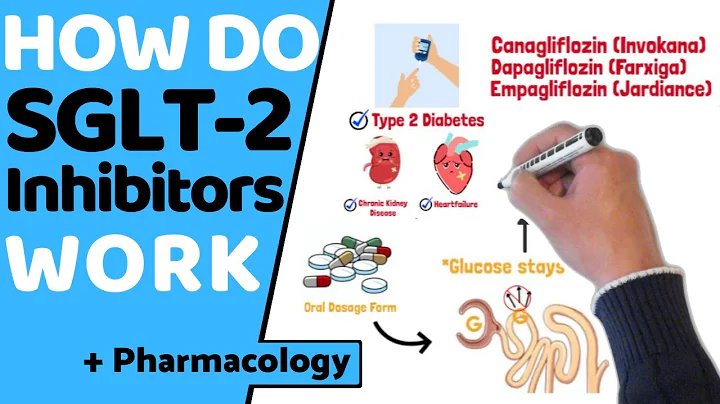How do SGLT2 Inhibitors Work?  (EASY Pharmacology)
