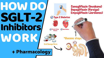 How do SGLT2 Inhibitors Work?  (EASY Pharmacology)