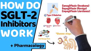 картинка: Как работают ингибиторы SGLT2? (EASY Pharmacology)