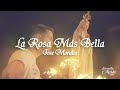 La rosa ms bella  jose morales msico serenata a la virgen mara en vivo  msica catlica