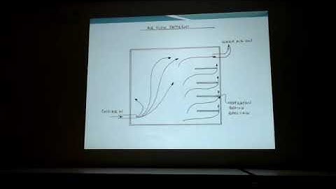 A History of the Root Cellar