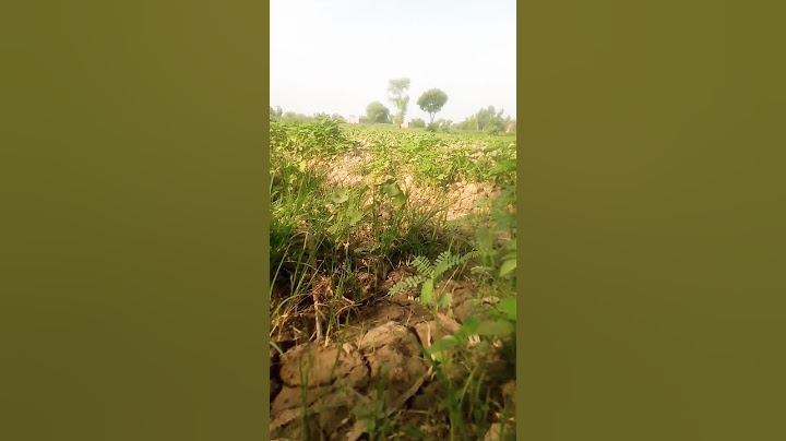 short # #shortvideos short #TRYING TO BURST THIS JUMPING JHAPAK BALL 😤 #shorts