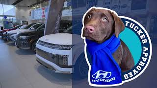 Why Buy From Grimsby Hyundai? | Worth the Drive, Worth the Difference!