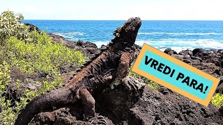 Ostrva Galapagos, jeftina varijanta, bez agencije - kompletan vodič
