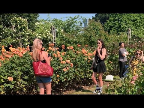 The queen👸Mary’s Gardens #regentparkVlog