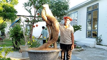 Siêu cóc chua to khủng quái thú hiếm có lh 0795050333