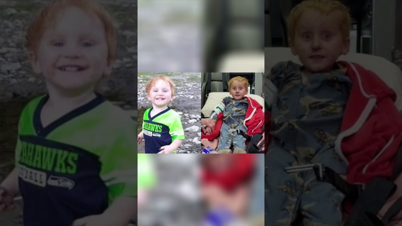 This 3 Year Old Was MISSING In The Woods For 2 Days Shorts