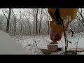 Tea Zen - Pu-erh / Чайный Дзен - Пуэр на природе (Зима 2018)