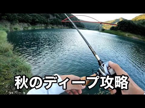 魚が散りまくってる秋に手堅く連発できる釣りがコレです。