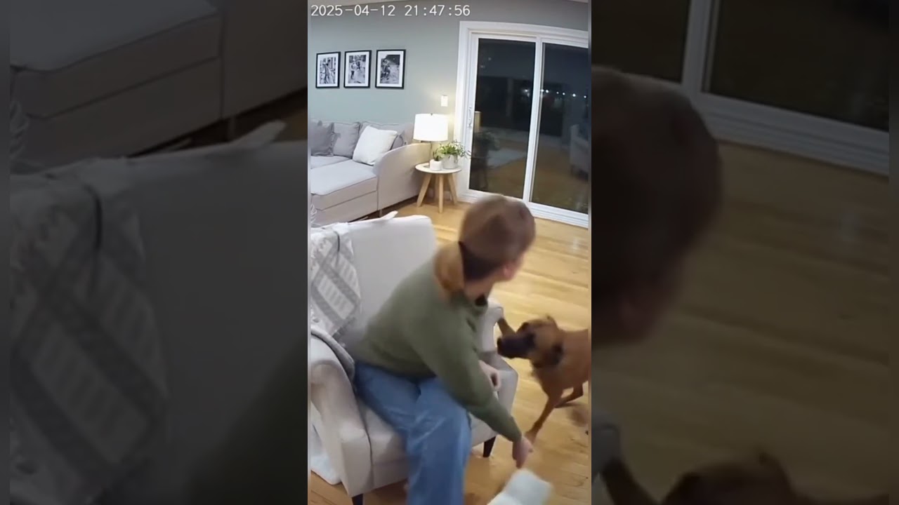 Watch this! It's so heartmelting