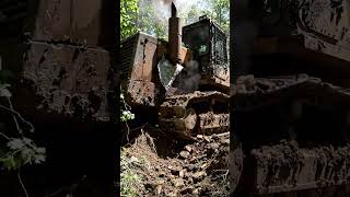 Engine Knock Echoing Through the Trees #reel #MechanicalNoise #ForestMachine
