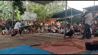 ACARA SAI BATIN GAJAH MINGA, DADU'AN   #LAMPUNG.  #SAIBATIN PALING BALAK. #LAMPUNG JAYA