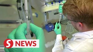 WHO hopes for hundreds of millions of vaccine doses this year, two billion next year