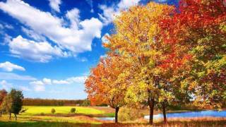 Mr. Acker Bilk-Autumn Leaves chords