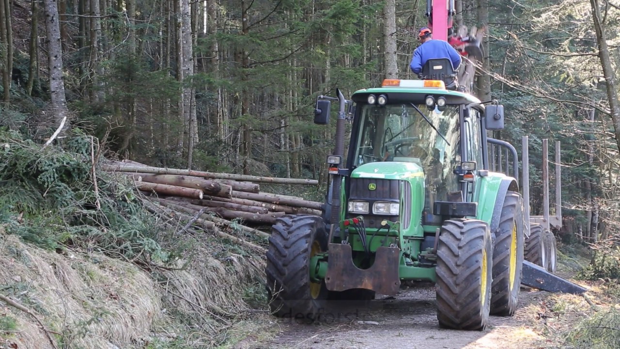 Nach Sturm: So wird der Wald im Ausseerland wieder klima-fit