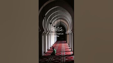 ربنا أفرغ علينا صبرًا || بصوت القارئ سعد الغامدي