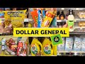 QUICK DOLLAR GENERAL RUN BEFORE RHE SNOWSTORM ❄️ | JUST IN CASE SHOPPING