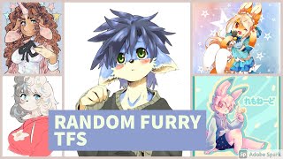 Random Furry TFs / Random TFTG (part 1)