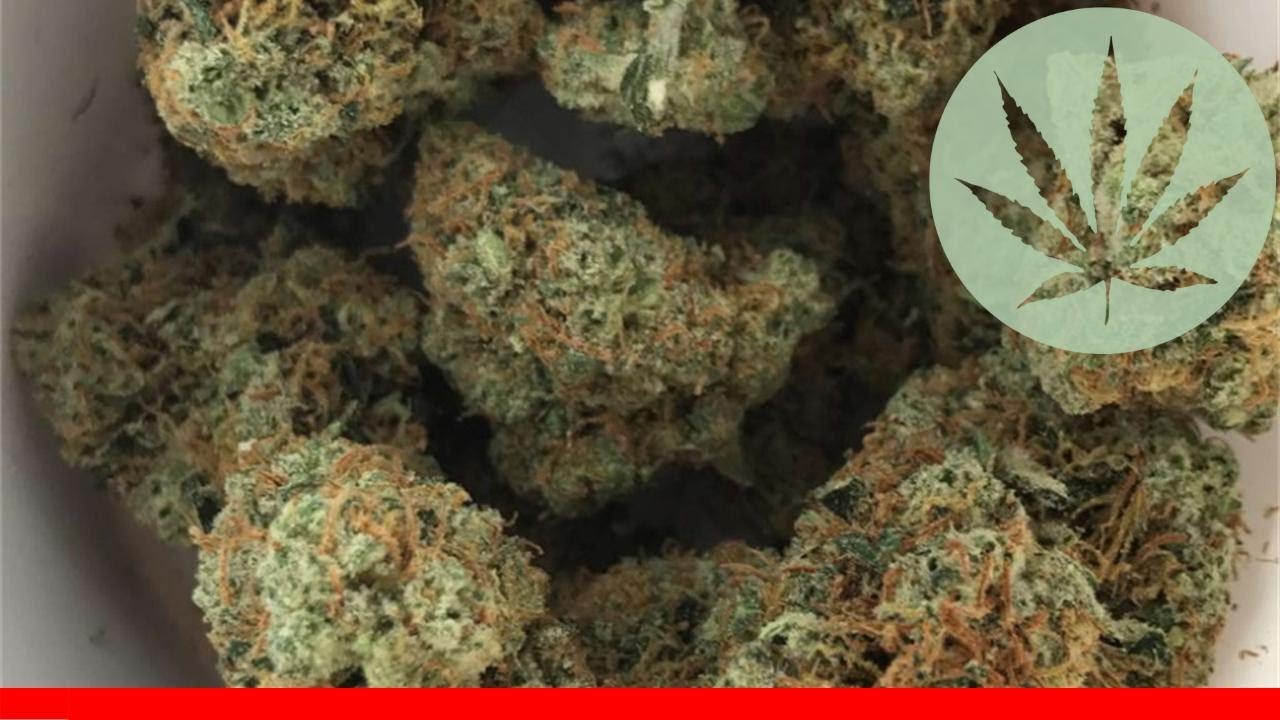 Tangerine Kush - All About This Strain