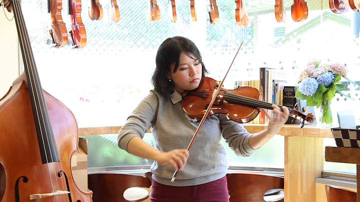 Roberto Collini violin