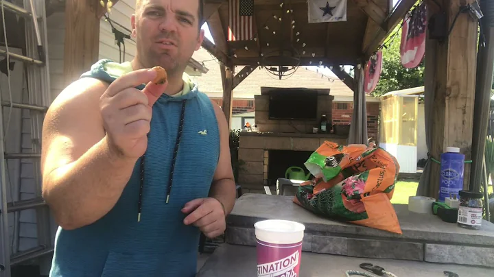 Christmas palm seed germination