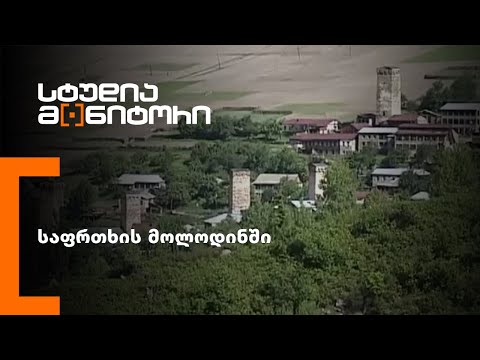 საფრთხის მოლოდინში