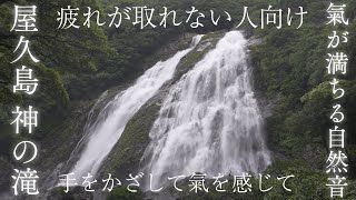 【超強力 屋久島の神の滝】滝の音を聴き流すだけで心身を浄化し大自然のエネルギーチャージ＆超グラウンディングできるパワースポット自然音【ASMR 勉強 作業 リラックス 瞑想 癒し ヒーリング 睡眠】