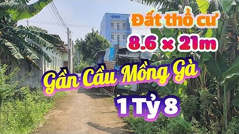 (Ms 01) Bán lô đất thổ cư 180m2 gần cầu Mồng Gà, huyện Cần Giuộc, tỉnh Long An.