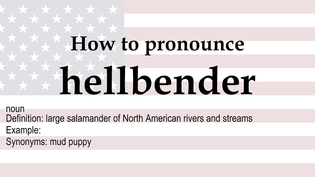 How to pronounce 'hellbender' + meaning YouTube