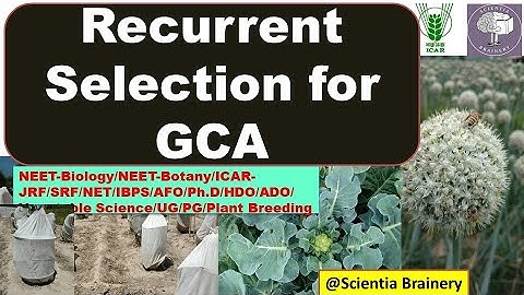 Recurrent Selection for GCA/population Improvement Method/ #horticulture #plantbreeding