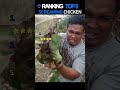 DON'T CHECK THE SOUND