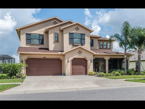 13231 Fawn Lily Dr, Riverview, FL home video tour