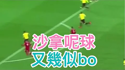 沙拿又幾似美斯bo - 天天要聞