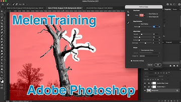 Photoshop Tips: Using Layers, Blending Modes & Masks to improve your photos with MelenTraining