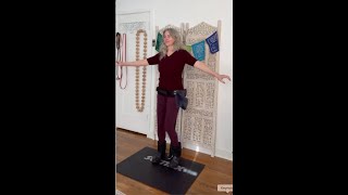 my power hip trainer