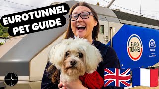 BEST WAY to GET PETS from UK to FRANCE (TIPS for EUROTUNNEL w/DOG)