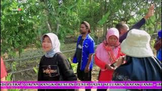 ANDI PUTRA 3 LARA ATI |DENOK|DESA KERTAMULYA BLOK BABAKAN REDO KEC BONGAS INDRAMAYU