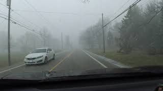 Snow Squall with Deer Crossing - Copley, OH 44321