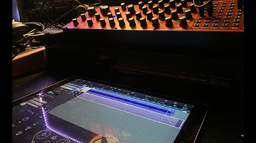 Jamuary 11- Ambience Behringer Neutron Synthesizer & Guitar Jam K7D tape echo & Eventide Blackhole