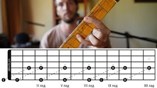 Как выучить ноты на грифе гитары
