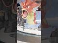 #pokemon #pokemoncenter #hiroshima