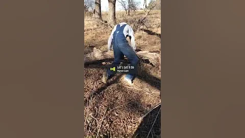 Tree lover.