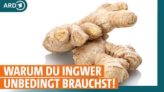 Ingwer: Das kann der Immunbooster wirklich I ARD Gesund