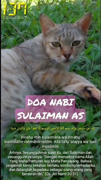 DOA NABI SULAIMAN AS❗️AGAR BINATANG PELIHARAAN TENANG