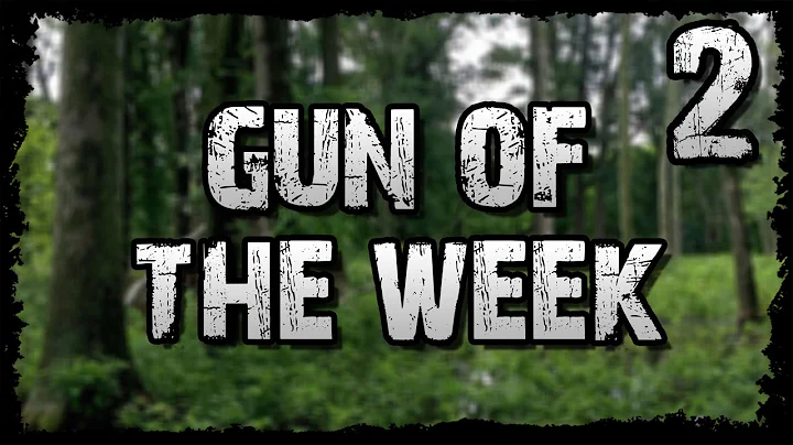 GUN OF THE WEEK | SIG MPX | EPISODE 2