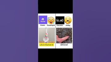 most interesting things ever #rochatai #characterai #cai #chatbot #fyp #ai