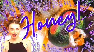 Amazing Benefits Of Honey You Never Knew Existed!   - Manuka Honey!!